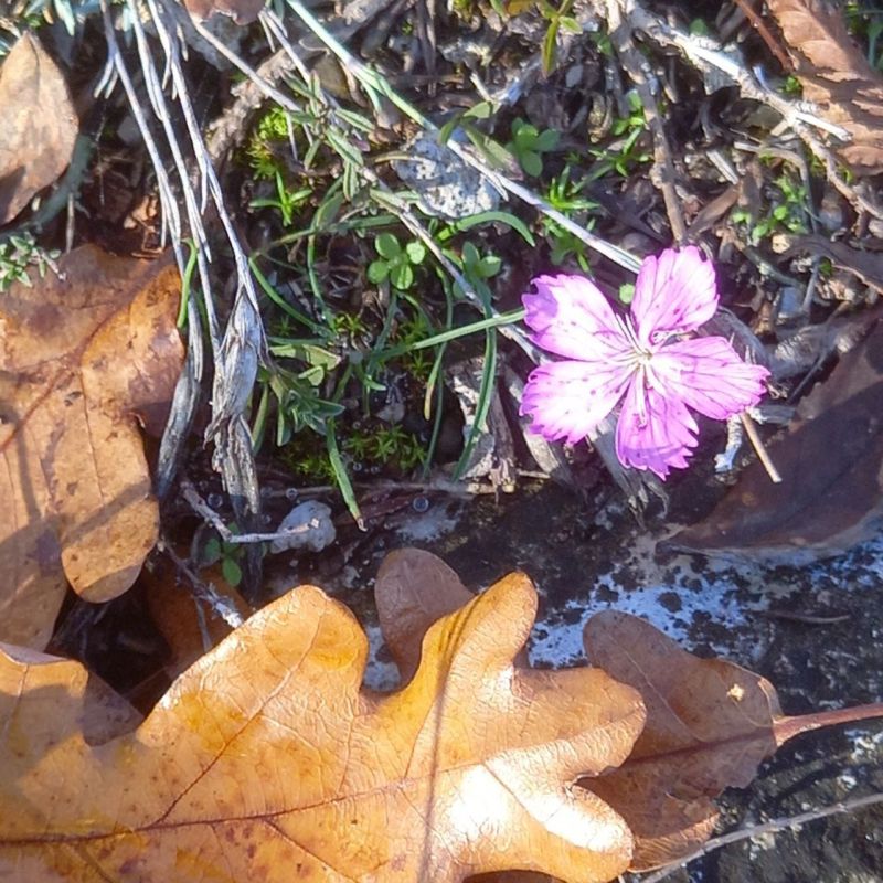 � ������ �����, ������!. � ����������� ��������������� ��� �������