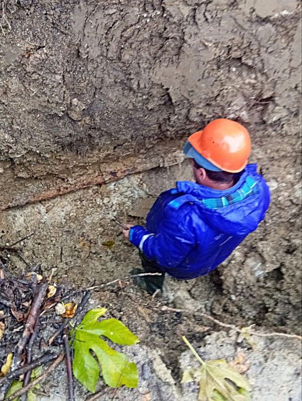 ���������: ������� �������. ��������-����������������� ������ �� ����� ������������� �������� �� ��.�������������, ��.�����������, ��.���������, ��.�������� �������, ��. ���������, ��.�������� ������������� ���� �����������...