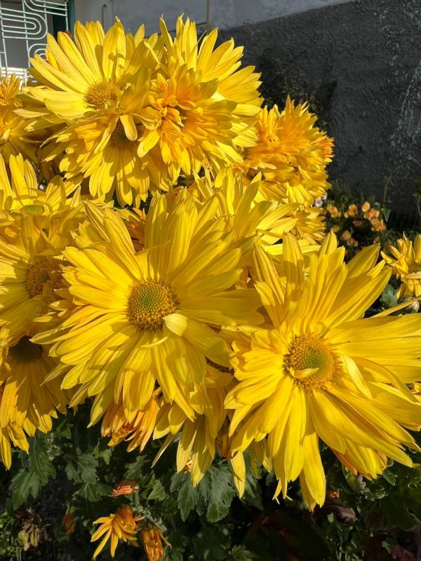 #��� �� ��������?. ��� �������� �������� ���������� ����������� �����, ������ �������� ������� ����������