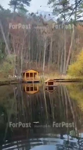 Минутка спокойствия — черепашье озеро с зимующей парой лебедей