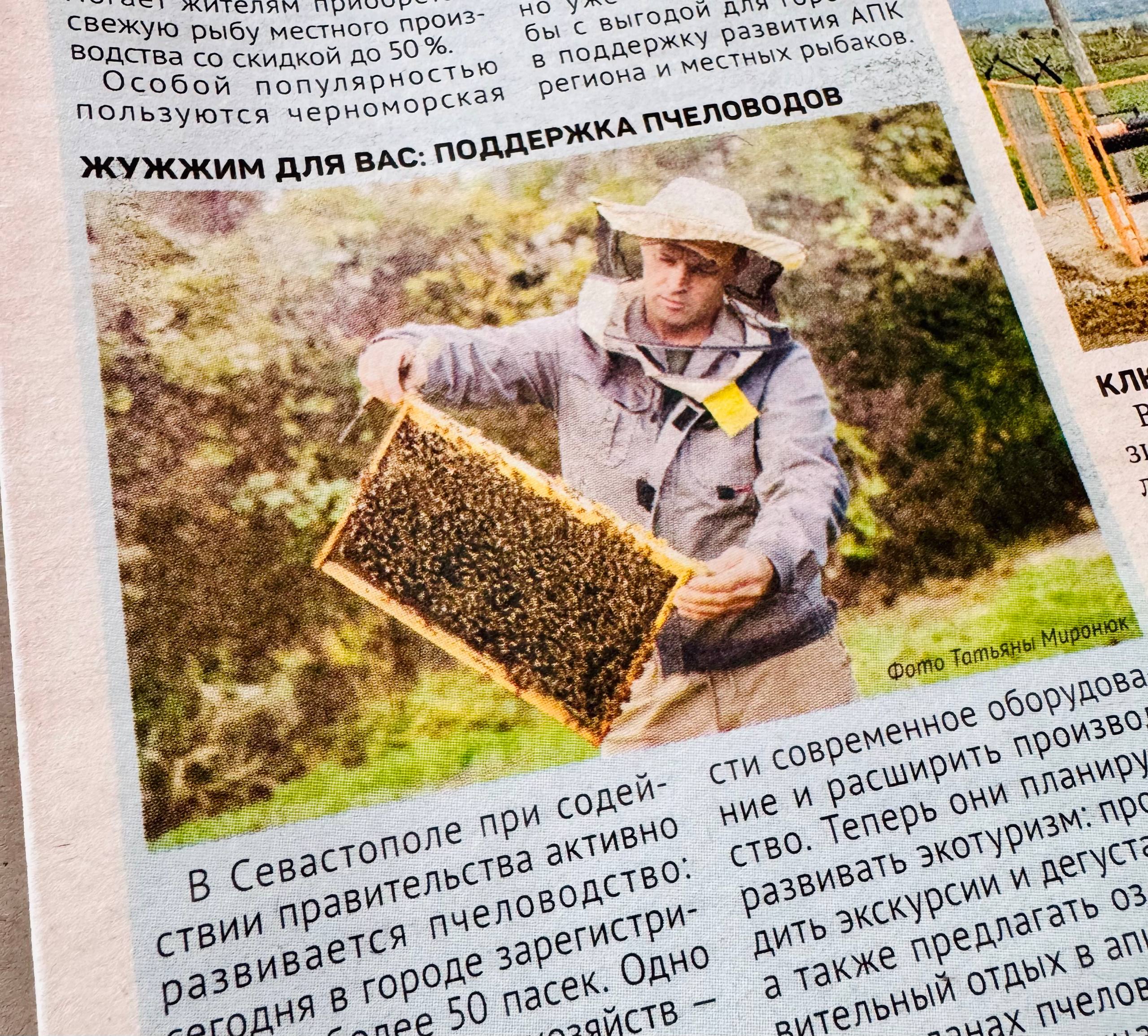 Жужжим для вас: Поддержка пчеловодов