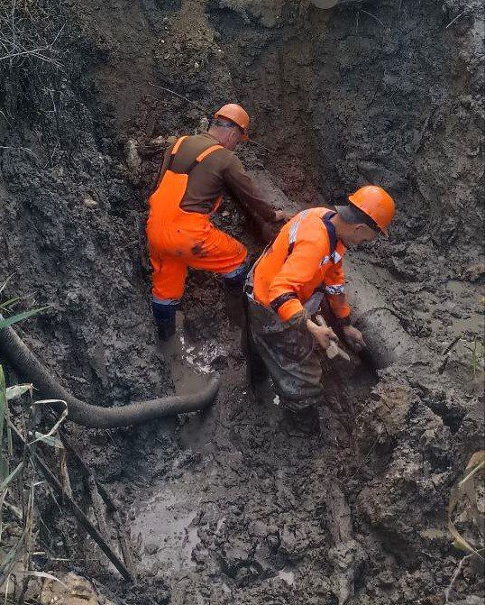 ���������: ������� �������. ��������-����������������� ������ �� ����� ������������� �������� �� ��.�������������, ��.�����������, ��.���������, ��.�������� �������, ��. ���������, ��.�������� ������������� ���� �����������...