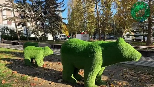 В сквере имени Горького в Балаклаве высадили лавровишни и тюльпаны