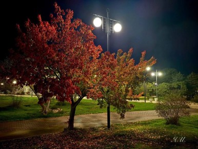 Горсвет: График включения и отключения объектов наружного освещения города Севастополя на текущую неделю: