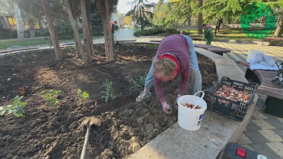 � ������ ����� �������� � ��������� �������� ���������� � ��������