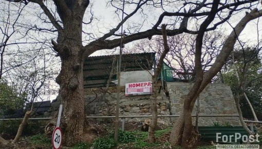 Севастопольские гостевые дома выйдут из тени