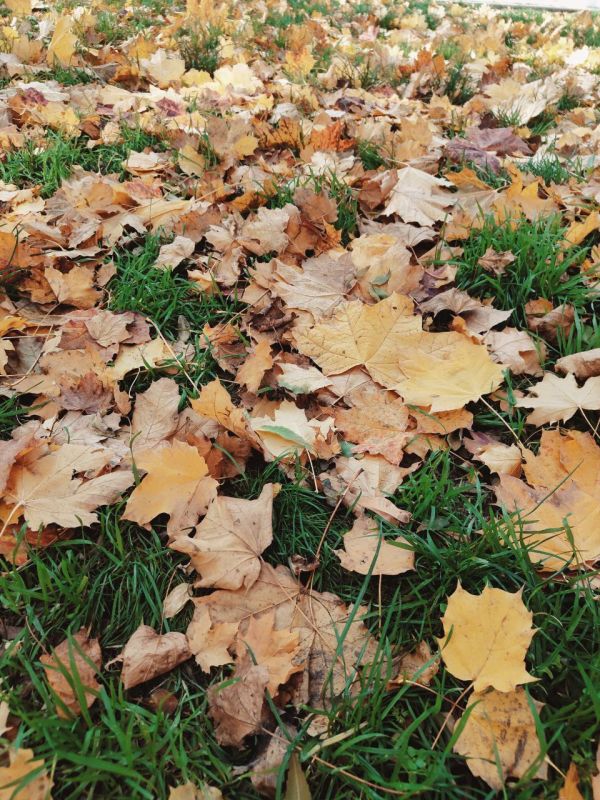 ������ ����� ��� ������� ��������������� ����, ������!