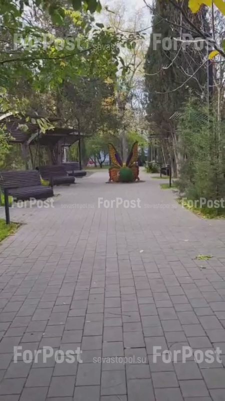 #���_�����. ��� ��� ������ �������� ����� �� ����� ��� ���������: ������� ��������� ����� � ����, � ������� �������� ������� ���������