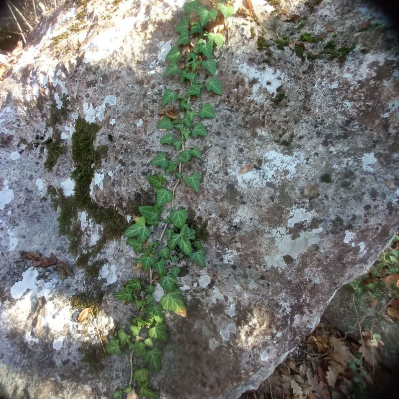 #��� �� ��������?. ��� �������������� ����� � ��������� �������� �������� ���������� �� ������������ ������������ �� ������ �� 30 ������