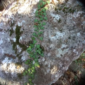 #  ?.               30 