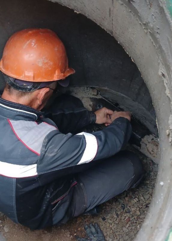 ���������: ������� ������� ������ ������ �������������