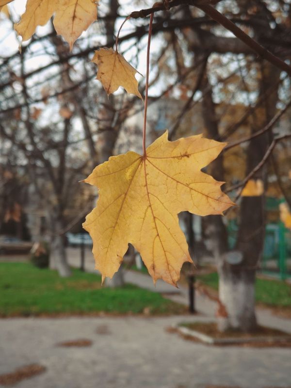 ������ ����� ��� ������� ��������������� ����, ������!