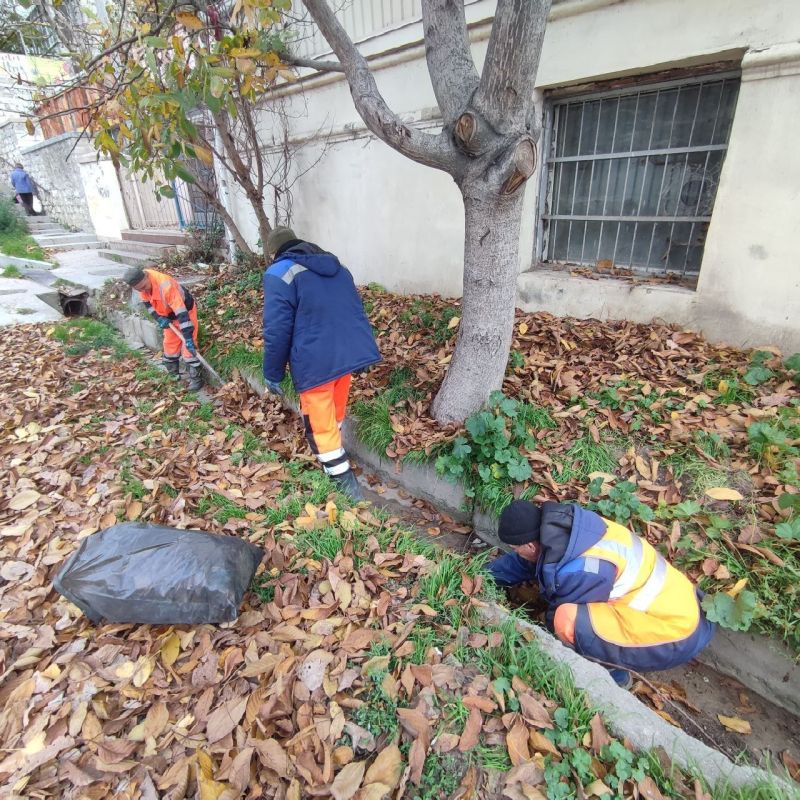 ���������: ������� �������. ������� �������� �������, �������������� � ����� �� ������ ���� ������� ������