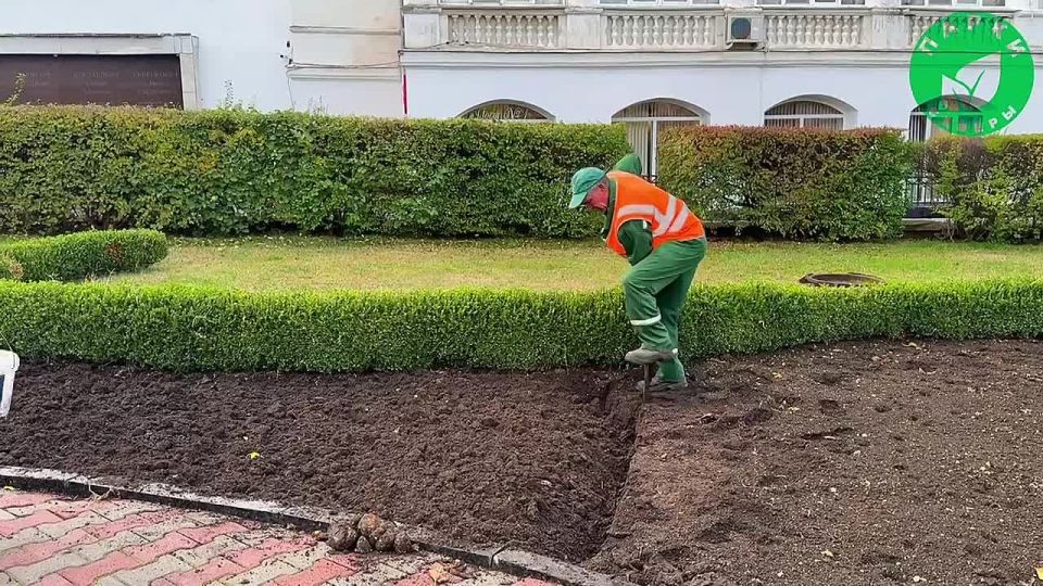 �� ������� ����������� ���������� ���������� ��������