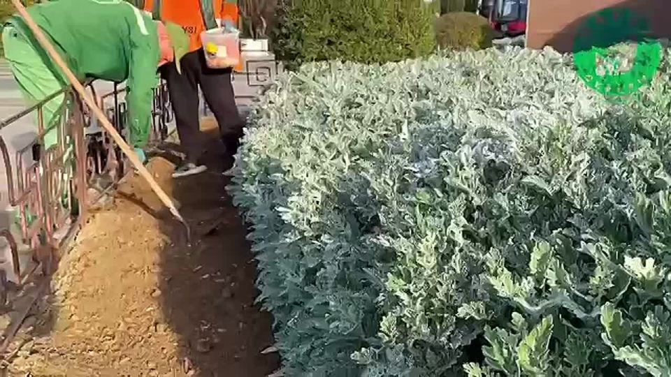 � ����� ������ ��������� ������ �� ������� ���������