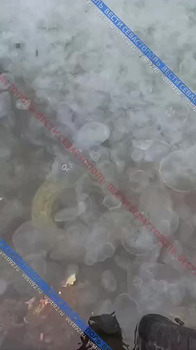 ������������ ����� ��������� ������