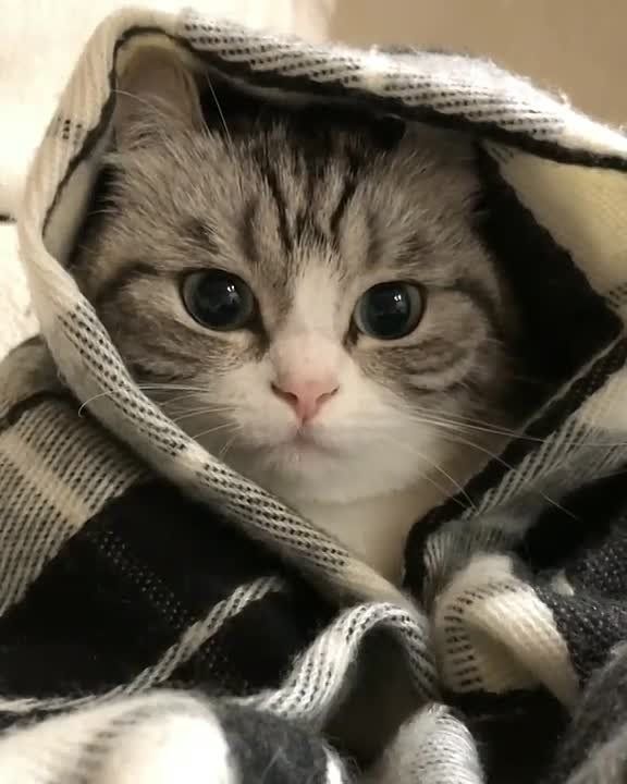 ������� � ����� � ����������� ��������� ��������� �����