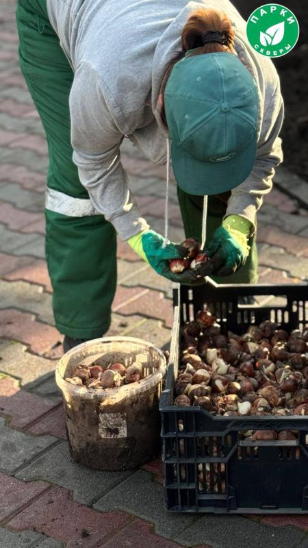 �� ������� ����������� ���������� ���������� ��������