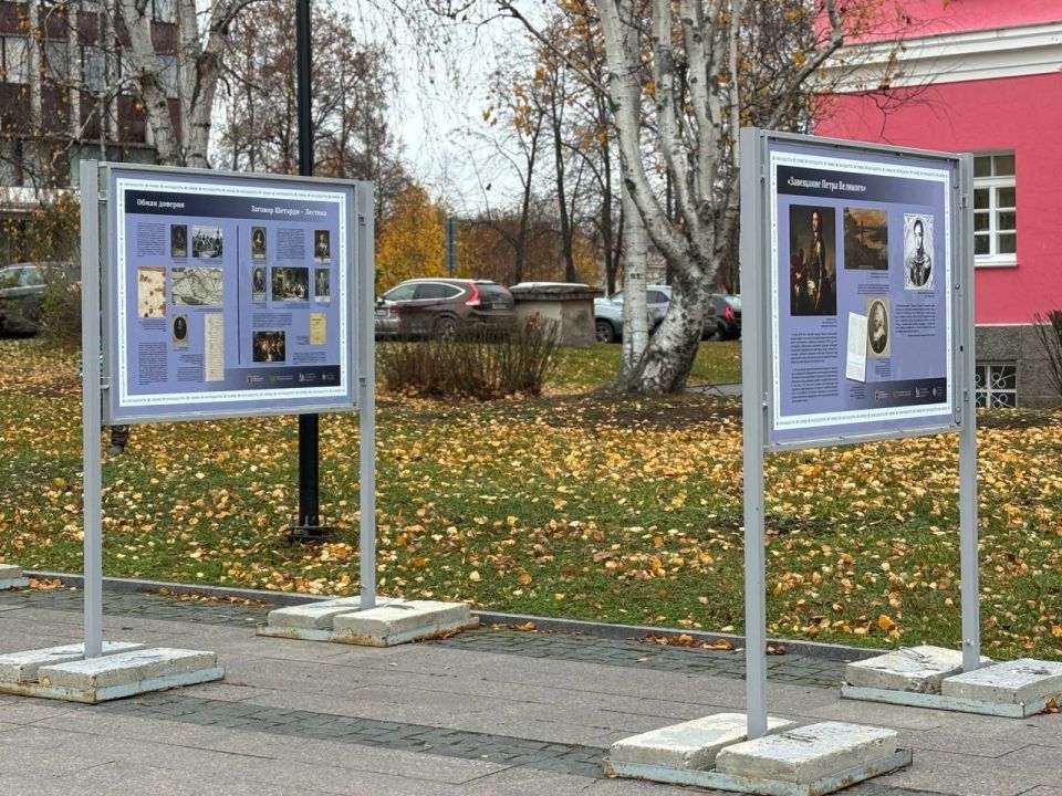 �������������� �������� "������ ������������ ����������� �����������