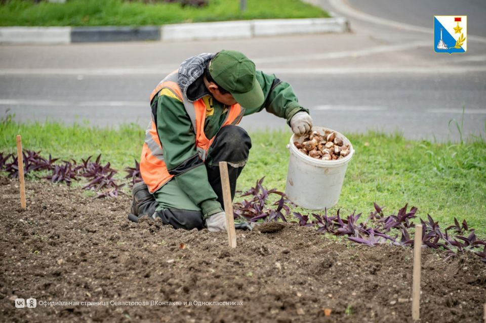 � ����������� �������� 120 ����� ������� ���������