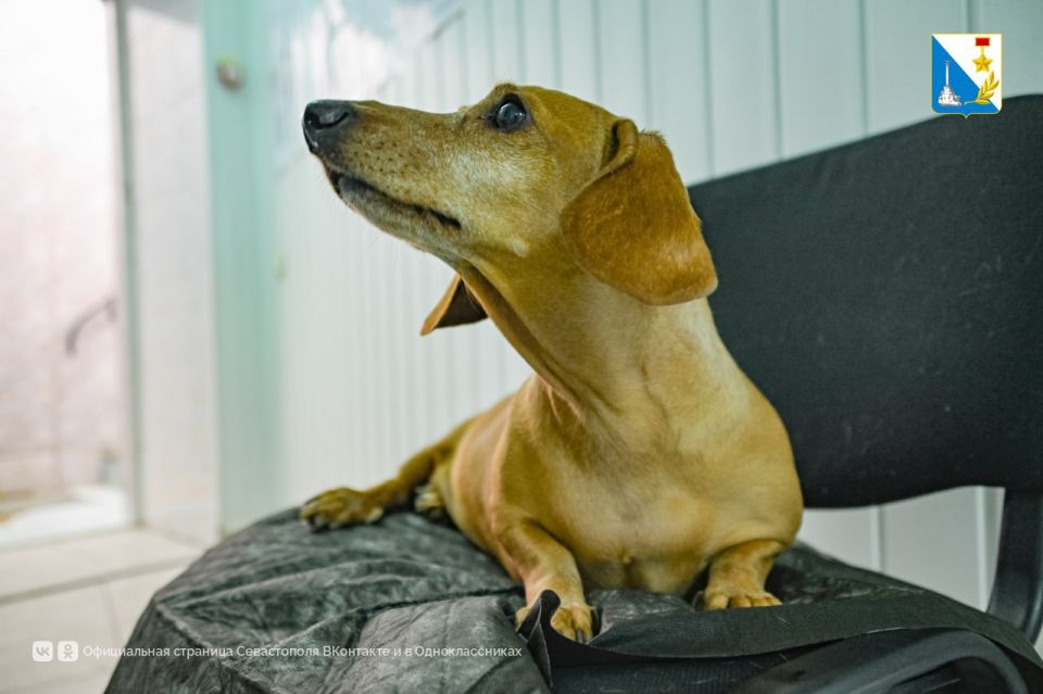 � ������� ��������������� ���������� ������� ����� 17 ����� �������� �� ������� �����������