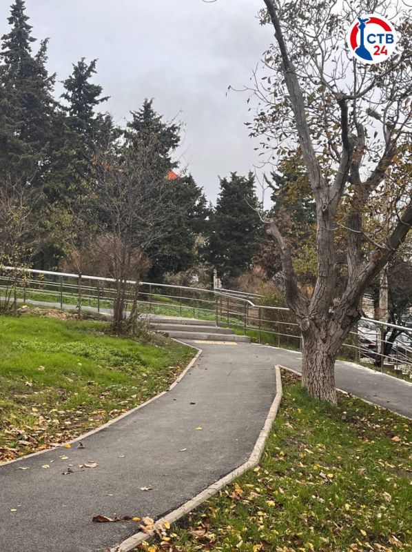 ������������ ����������� ����������� �������� ������ ���������� � ��������