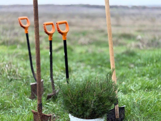 � ����� ���� � ����� ����������� ������� 13 ����� ������� ��������