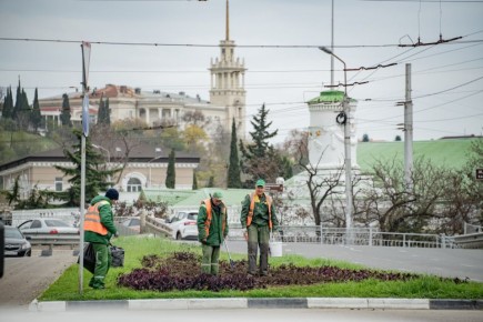 Михаил Развожаев: С начала ноября сотрудники «Парков и скверов» высадили на клумбах города 120 тысяч луковиц весенних цветов