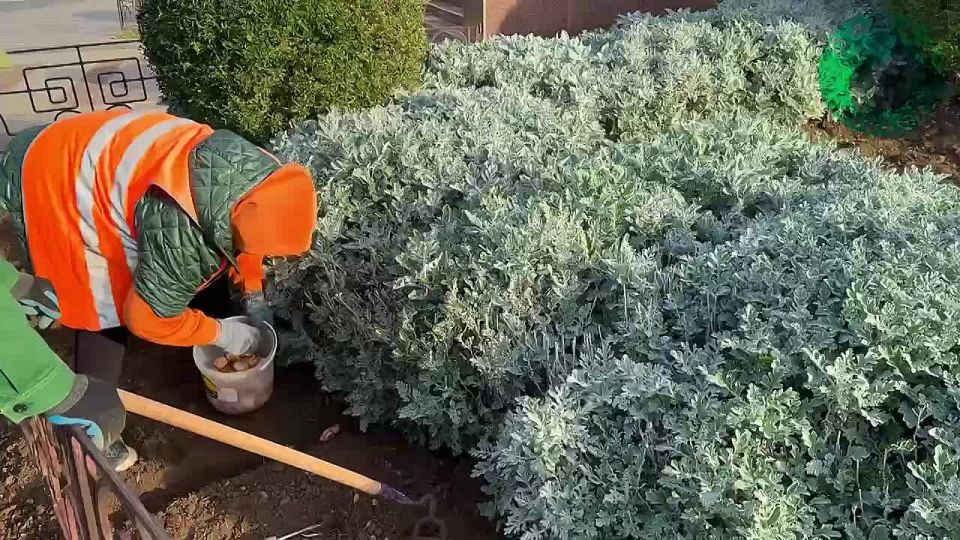 � ����� ������ �������� ��������