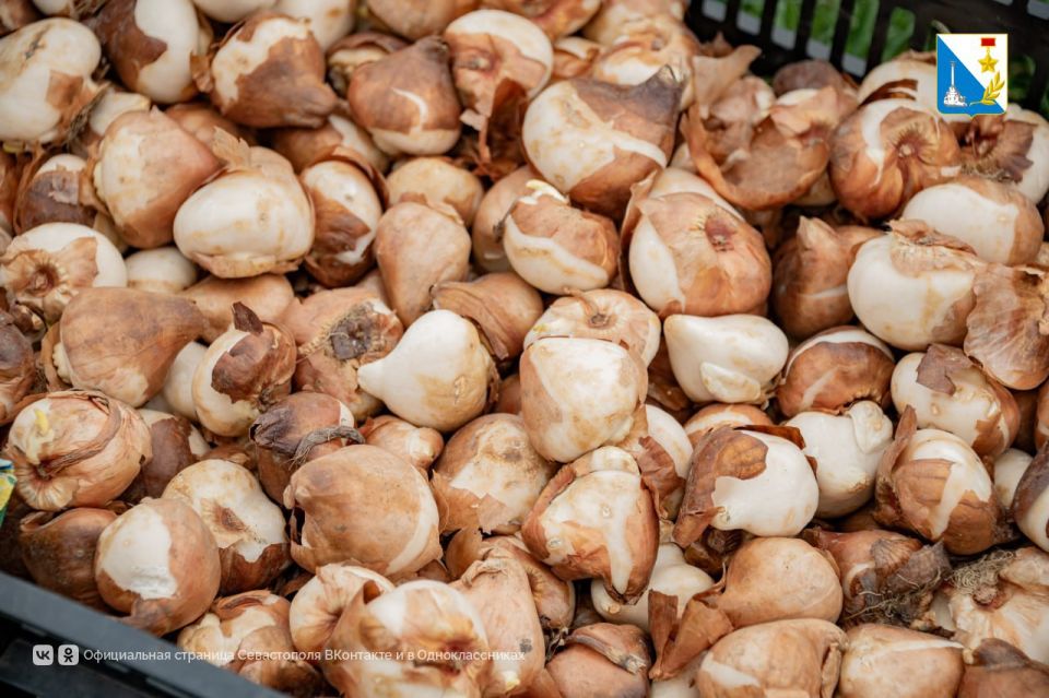 � ����������� �������� 120 ����� ������� ���������