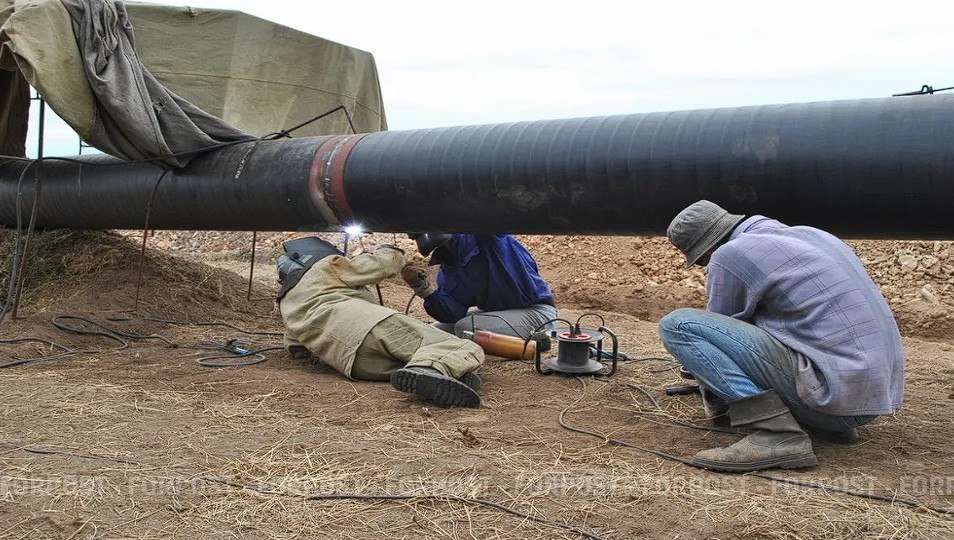 Севастополь повысит стоимость патента для трудовых мигрантов в 2026 году