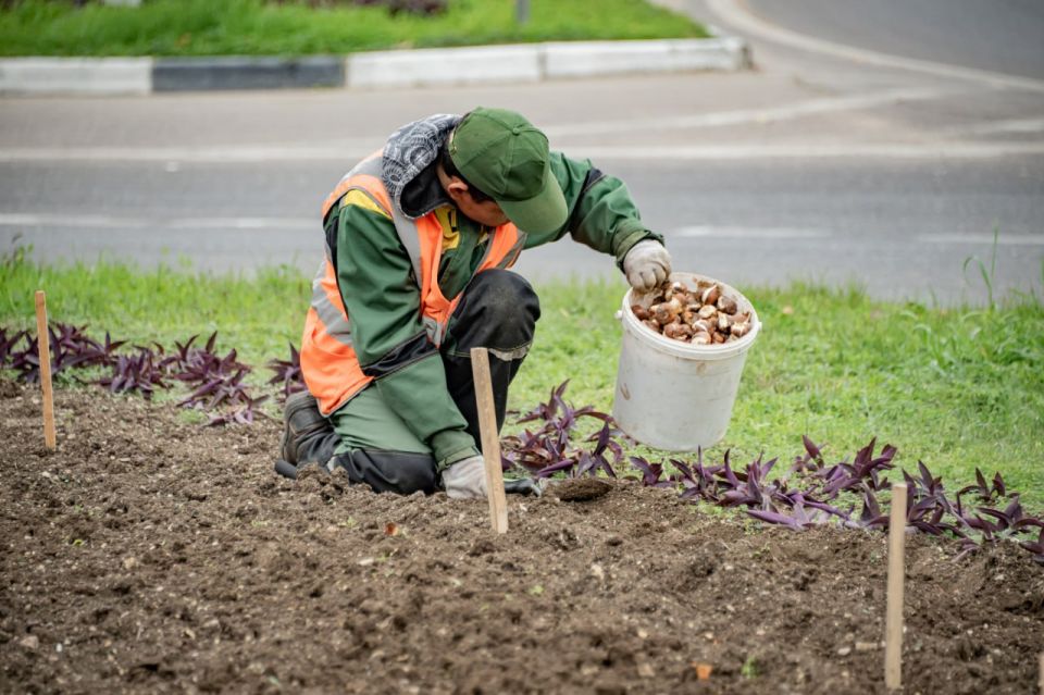 ����������� ������� �������� ����� ������