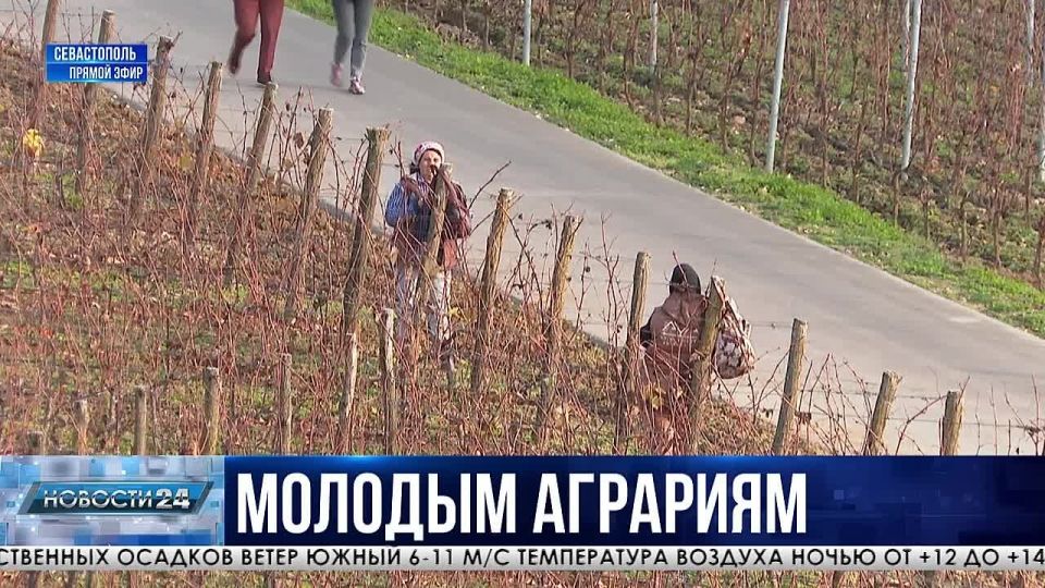 ������� �������: ��� ������������ ������� ������������ �� ���������������� �����������?