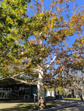 С добрым утром, друзья!. В Севастополе днем временами небольшой дождь