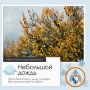 Доброе утро, Севастополь!. По данным гидрометцентра, 19 ноября в Севастополе будет облачно с прояснениями