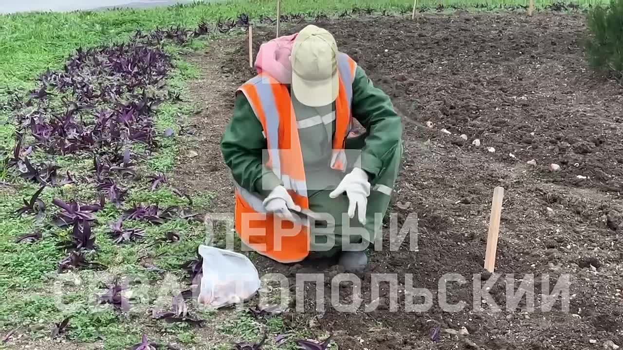 У автовокзала Севастополя высадили тюльпаны