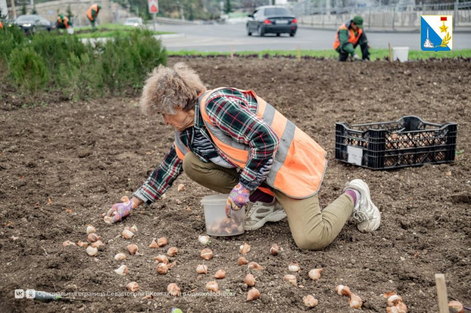 � ����������� �������� 120 ����� ������� ���������