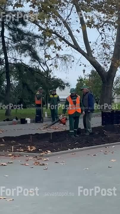 �������� ����������� ������� � ��������� ������