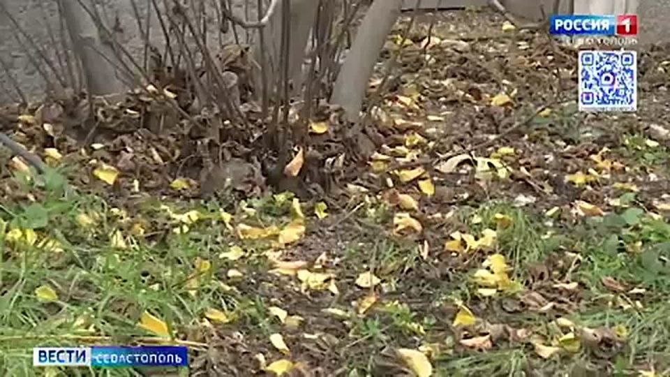 � ����������� ������������� ��������! � ������� �� ����� � ������ ������ ����� ������ ����� �������� ����� �������