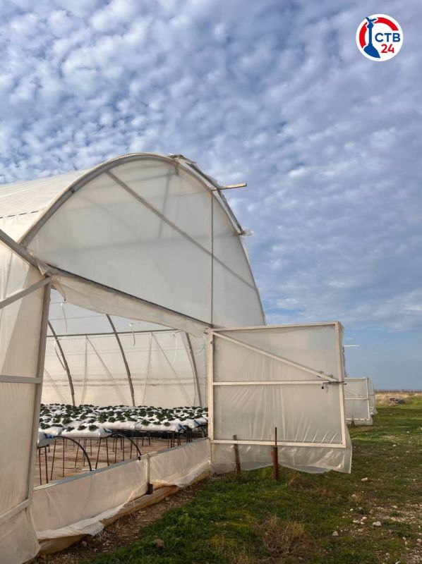 ��������������� �� ����������� �������� ����� 3,2 �������� ������ �� ����������� ���������