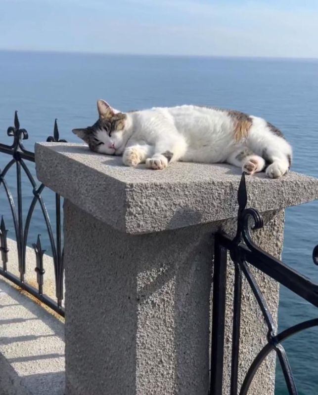 ��������� � ����� ����� ���� ��������� �������������� ����� ��������� � ������������ ���� �������� ��������