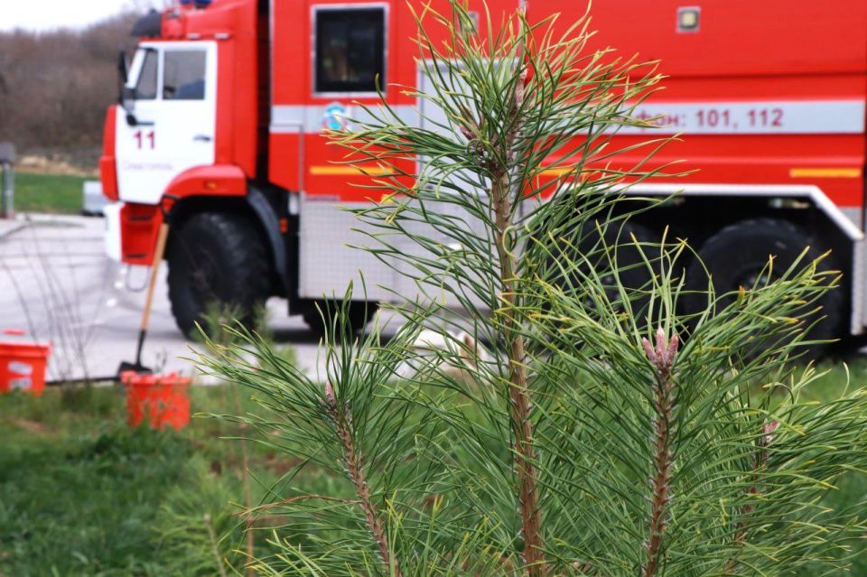 На территории пожарно-спасательной части Павловка высадили деревья