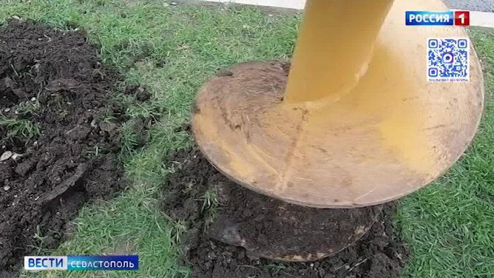 ���������� ���� ��������� ����� ���������� ����� ������������