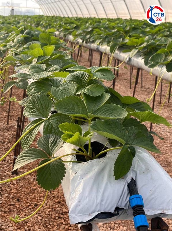 ��������������� �� ����������� �������� ����� 3,2 �������� ������ �� ����������� ���������