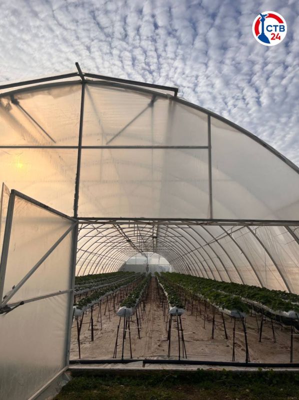 ��������������� �� ����������� �������� ����� 3,2 �������� ������ �� ����������� ���������