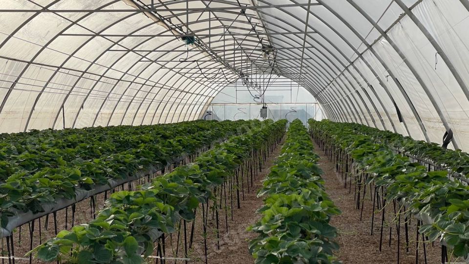 3 �������������������� ����������� ����������� �������� ����� 9 ��������� ������ � ������ ������������