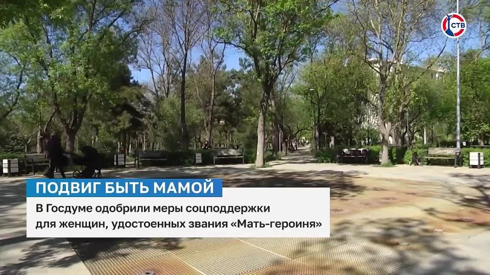 Госдума утвердила социальные гарантии для женщин с титулом «Мать-героиня»