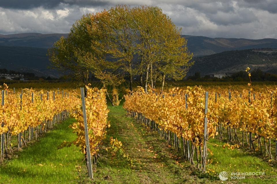 ������� ������ � ����� �� �������