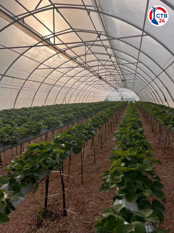 ��������������� �� ����������� �������� ����� 3,2 �������� ������ �� ����������� ���������