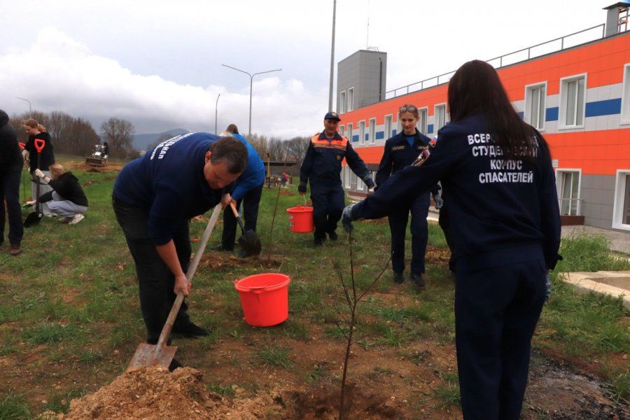 Севастопольская молодёжь и пожарные высадили молодые деревья в части «Павловка» Севастопольская молодёжь и пожарные высадили молодые деревья в части «Павловка»